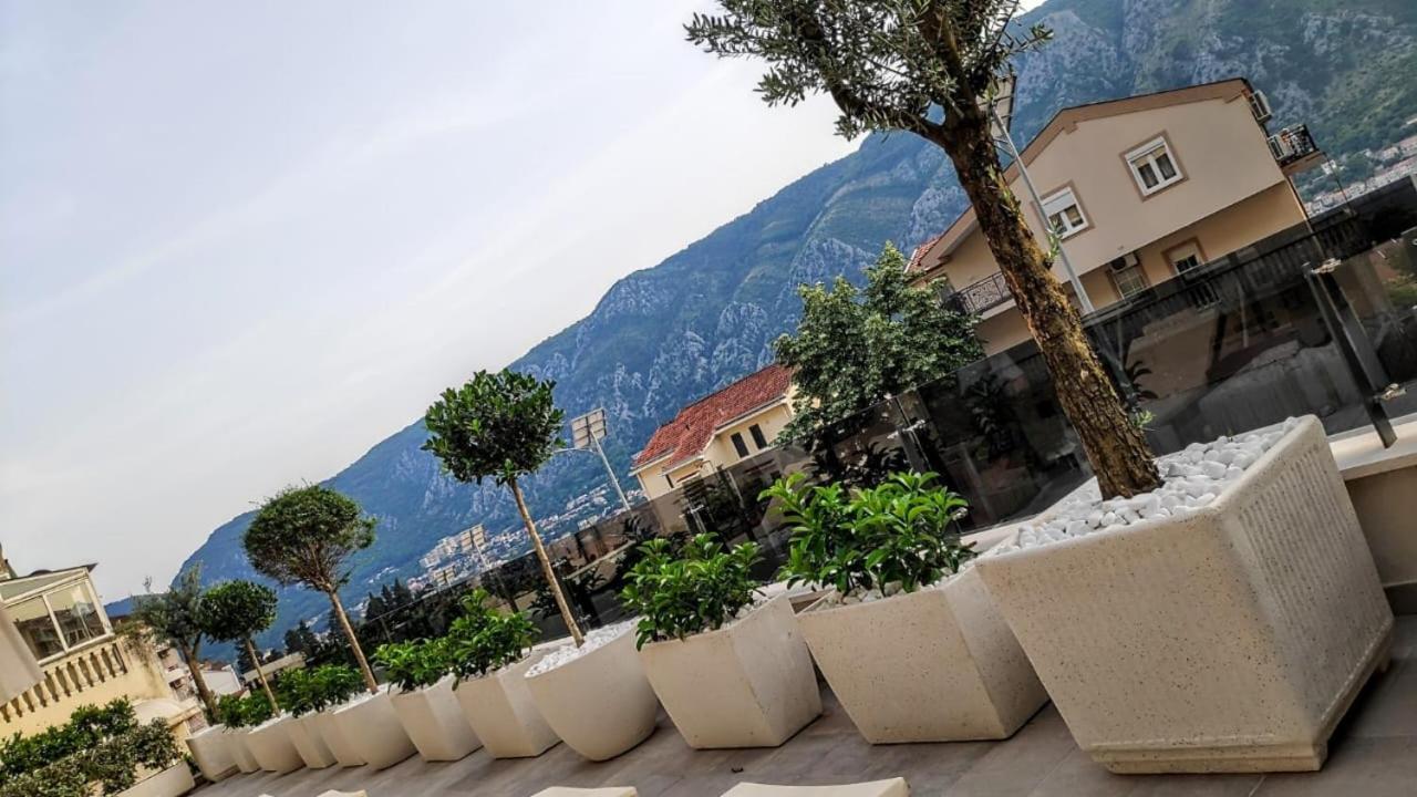 Casa Nuova Lägenhet Kotor Exteriör bild